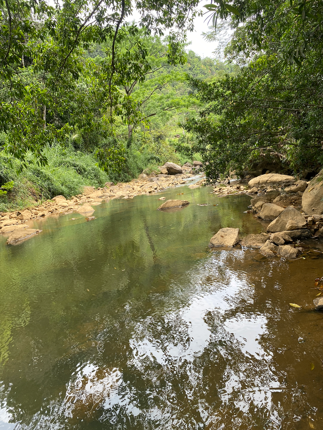 Nature & Calm — Kukule Ganga