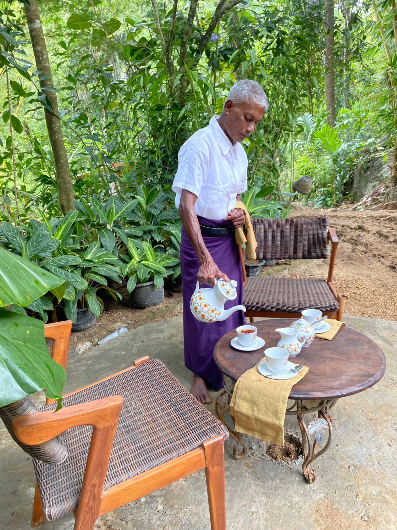 Tea with the Birds View
